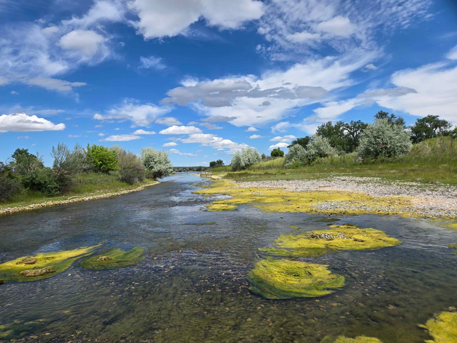 2026-06-20 – Fishing the Bighorn